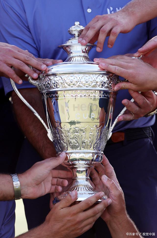 年终总决赛翻盘戴维斯杯，蒂姆扛起全队的简单介绍