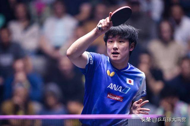 波兰队逆转法国队,张本智和刷新纪录 波兰队逆转法国队,张本智和刷新纪录