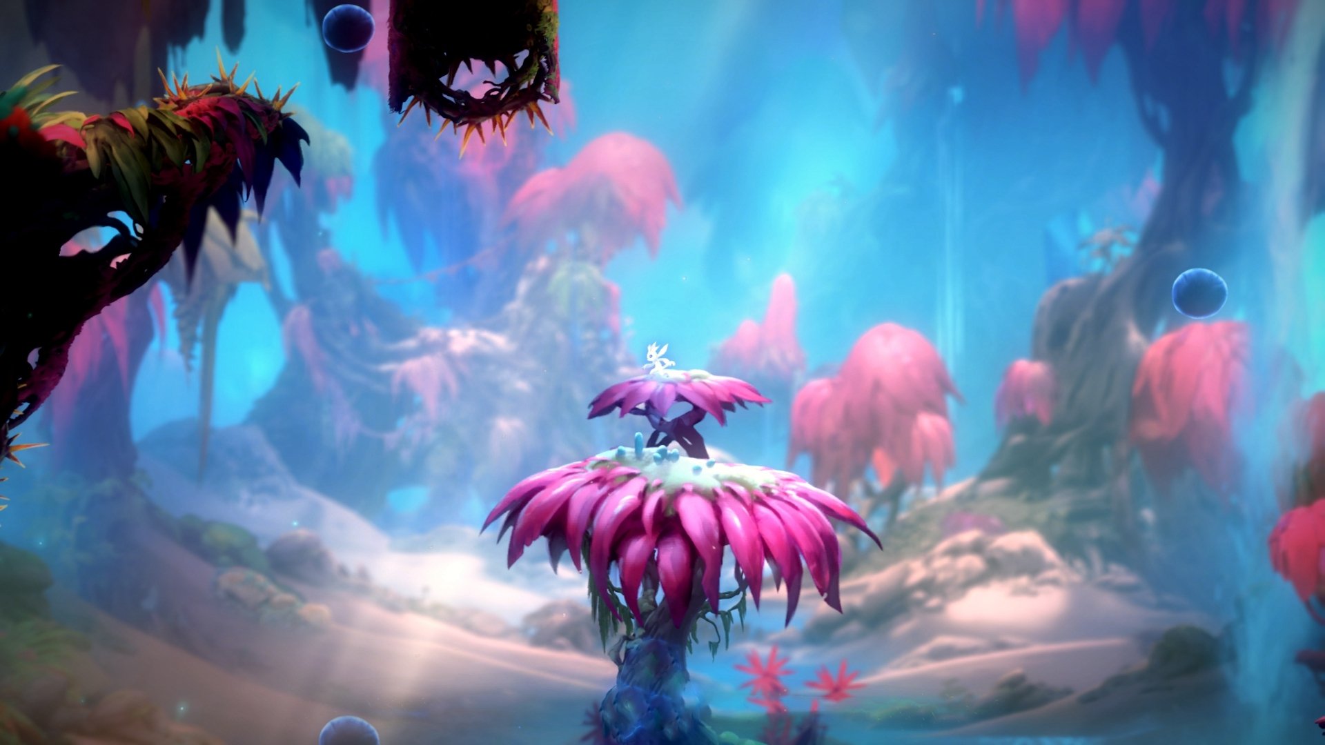 武切维奇末节觉醒！爵士撕裂鹈鹕防线迎关键胜利