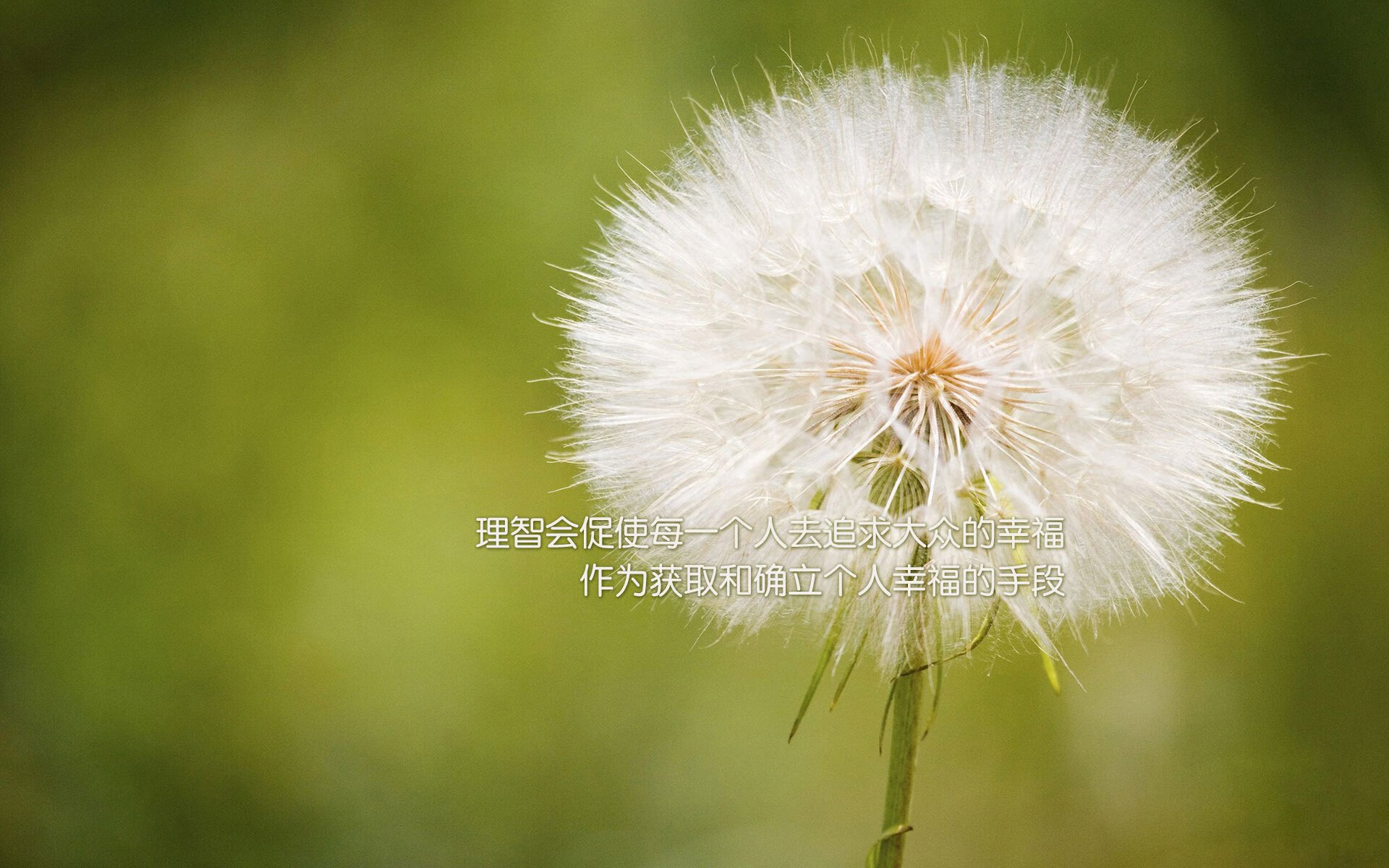 篮坛新王的加冕礼,拉梅洛指挥季后赛交响之夜