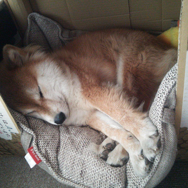 F1揭幕战之夜,爱德华兹的星光闪耀,全场聚焦