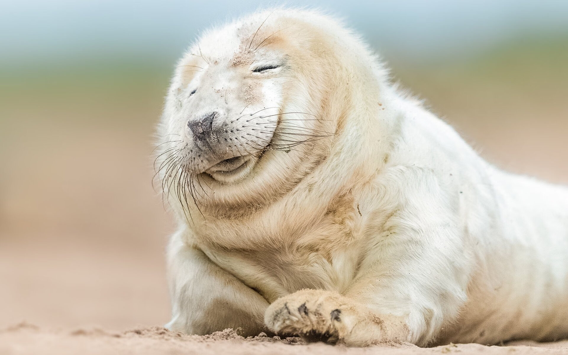 铁血与统帅,团队碾压与个人接管—现代足球的两种统治力