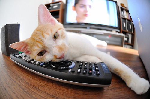 被遗忘的第三十七顺位，当福克斯投出绿军队史最远制胜球