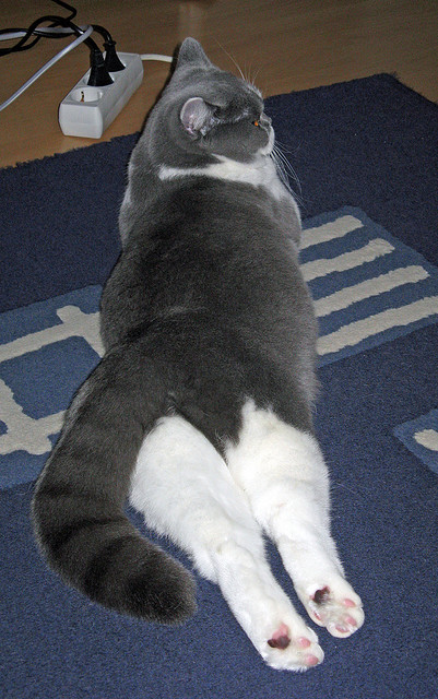 无声轰鸣，西决生死战夜，伊萨克如何成为攻防轴心