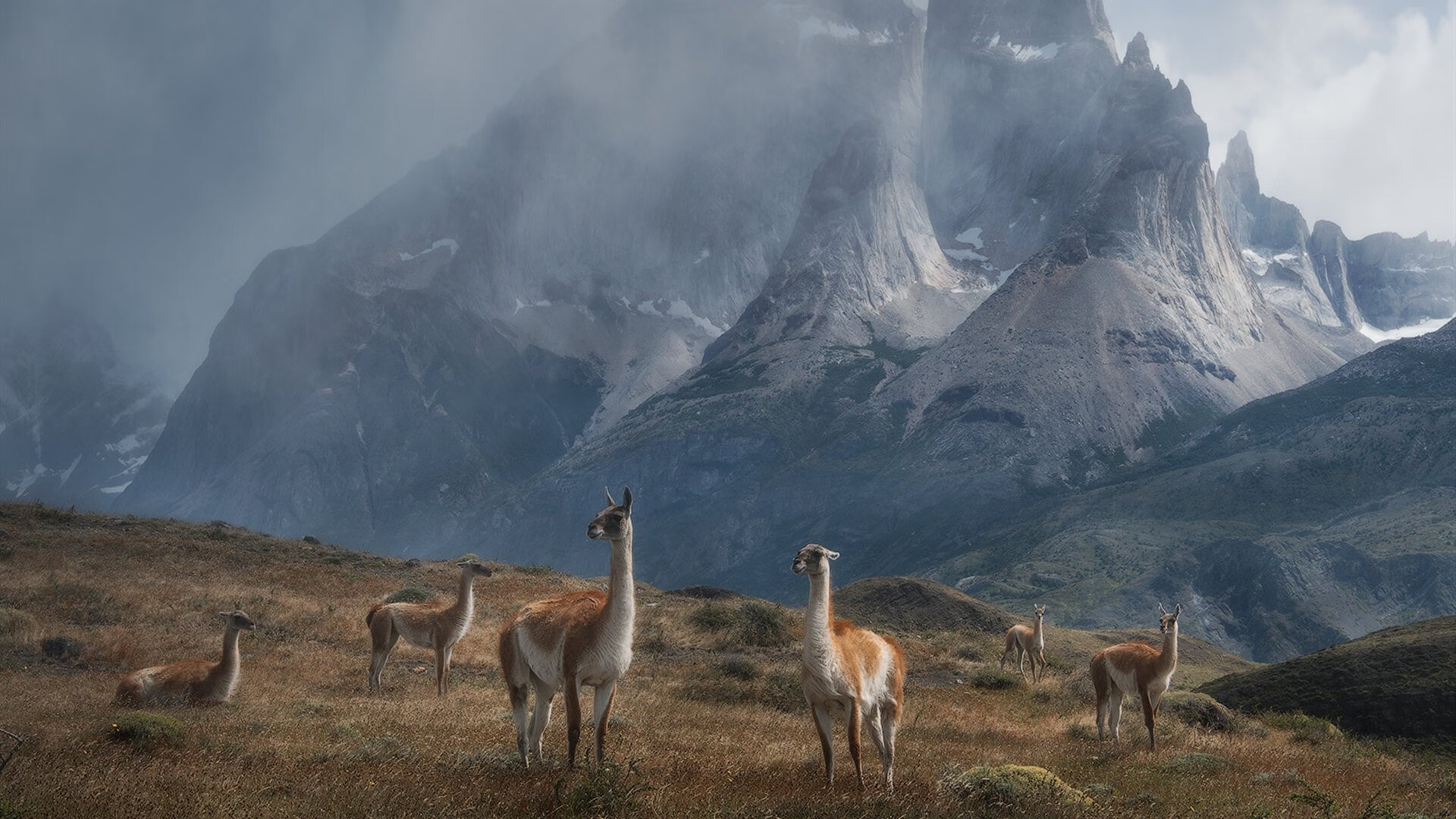 凯恩里程碑之夜，牙买加友谊赛主场压制莱比锡红牛