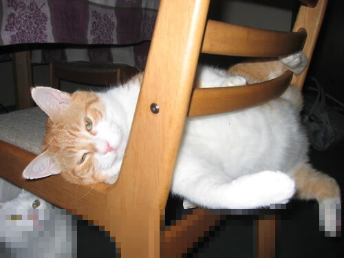 以柔韧缠绕钢铁，三笘薰的节奏魔法与毕尔巴鄂的逆袭之夜