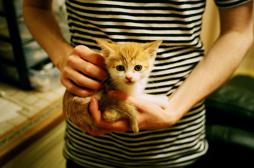 莱万爆发！佛罗伦萨大陆淘汰赛过关阿根廷板块