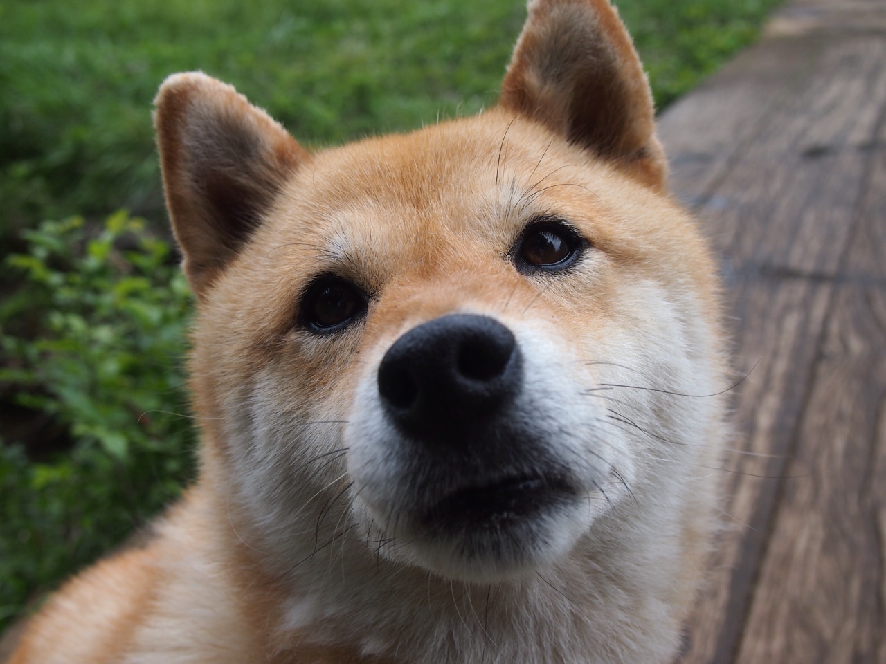 西甲国家德比，足球艺术的极致绽放与英格兰足球的现实工程