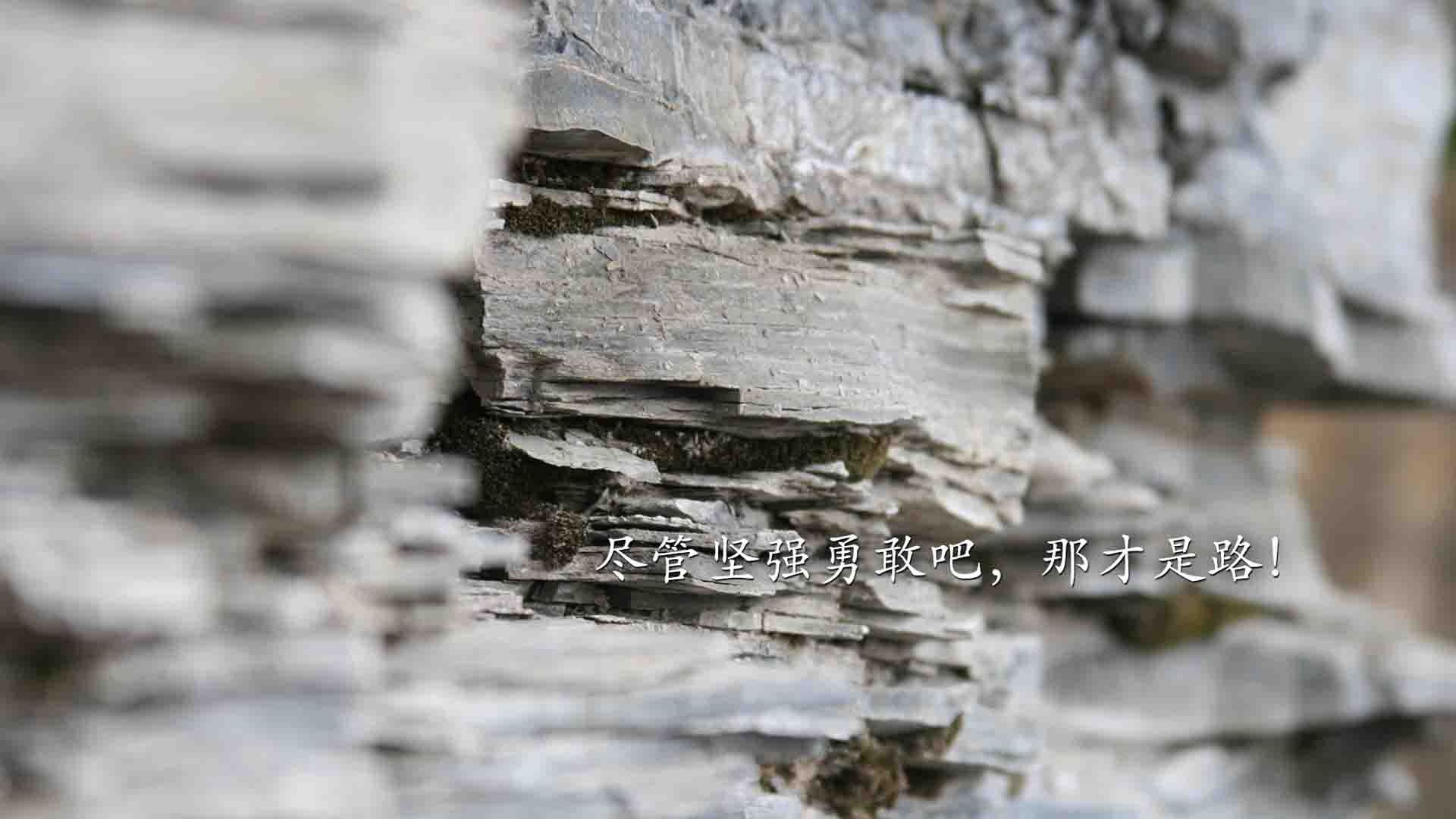 唯一看点！2026世界杯A组双线告捷，塞尔维亚铁骑碾压伊朗，福登妙手定乾坤