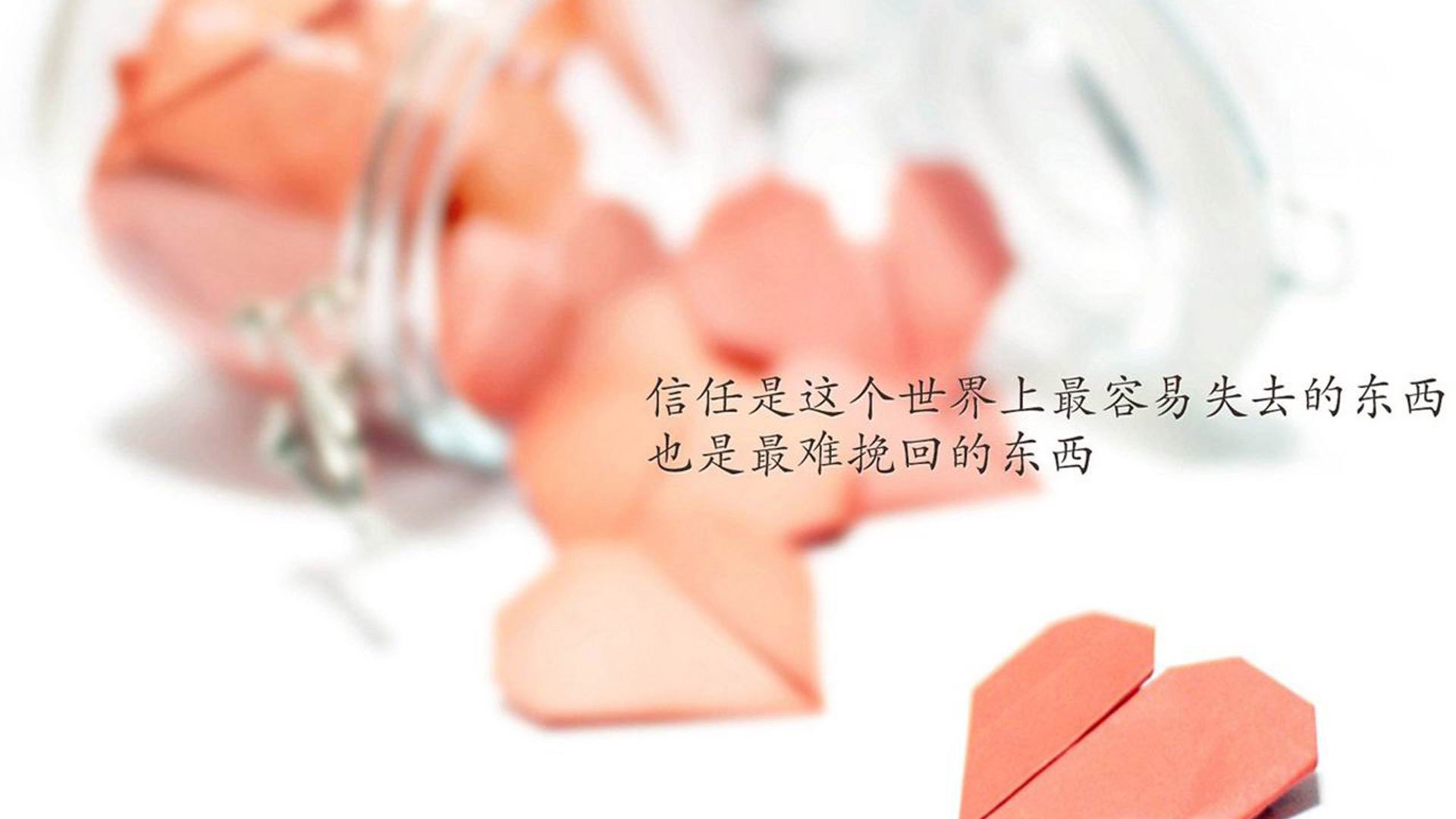 波斯铁骑碾碎安第斯之梦,德容独舞,伊朗在2026世界杯C组书写唯一史诗