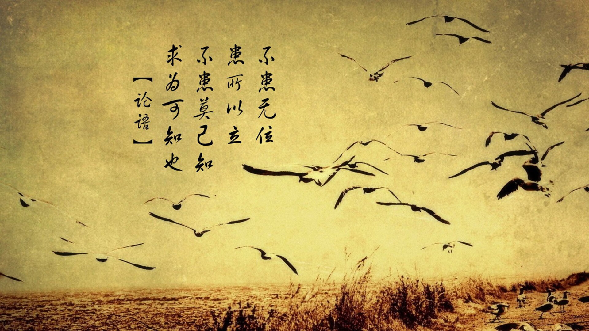 以下是为您撰写的文章