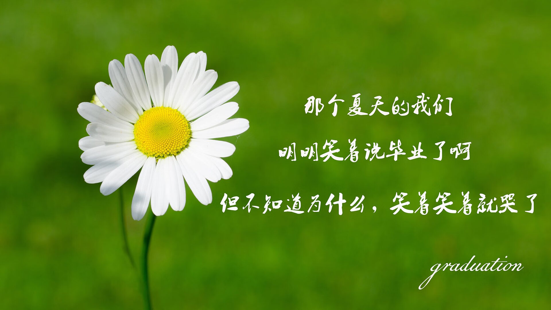 冰与火之歌,2026世界杯G组唯一性解读—三笘薰的关键作用与全场压制