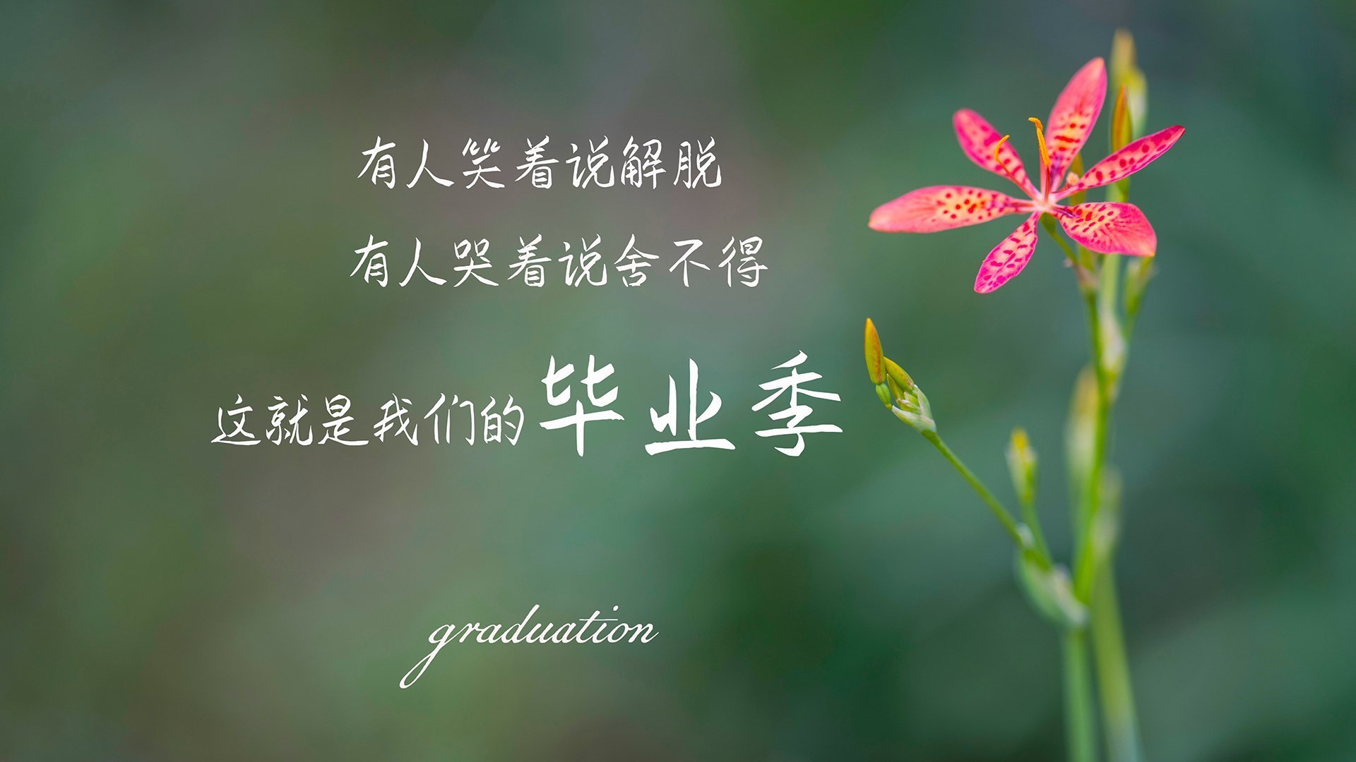 当宿命成为注脚，福登的瞬间如何颠覆G组权力天平